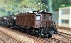 EF64-1009,1015 JR貨物更新車 入線！TOMIX 98960 限定 | NGaugeJP