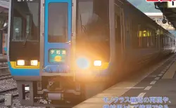 トミックスワールド大宮 93547 限定品 JR 115 1000系（新潟色・N編成