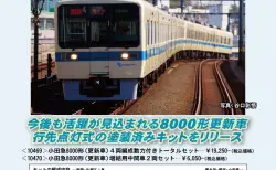 KATO京都駅店】D51 944「つばめ」マーク 奈良運転所 赤ナンバー