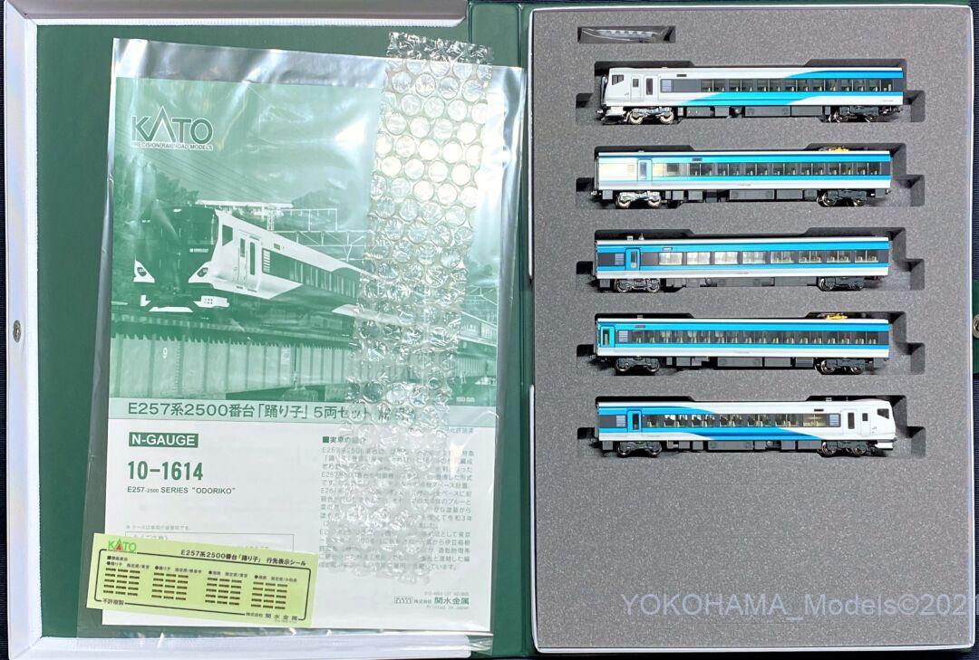 E257系2500番台「踊り子」NC-31編成が入線しました。KATO 10-1614