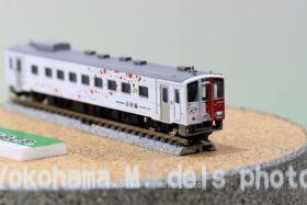 GM JR北海道キハ54形（500番代・地球探索鉄道花咲線ラッピング