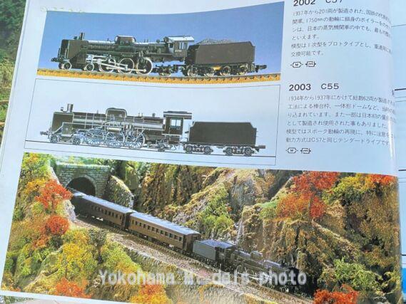C55形3次形北海道仕様（国鉄）が入線しました。 TOMIX 2010 ｜ 製品