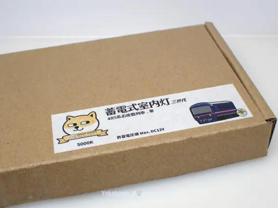 485系 お座敷列車「華」TG02編成（高崎車両センター）を弄る。DENSHA