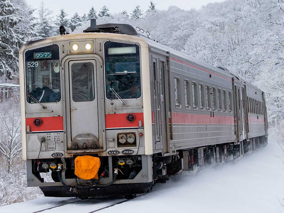 JR北海道キハ54形（500番代・元急行仕様・車番選択式）（動力
