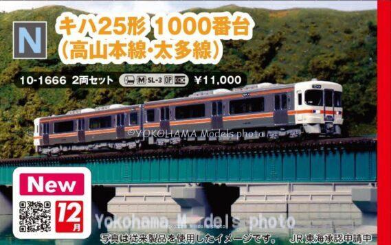 KATO 10-1666 キハ25形1000番台(高山本線・太多線)2両セット カトー Nゲージ鉄道模型