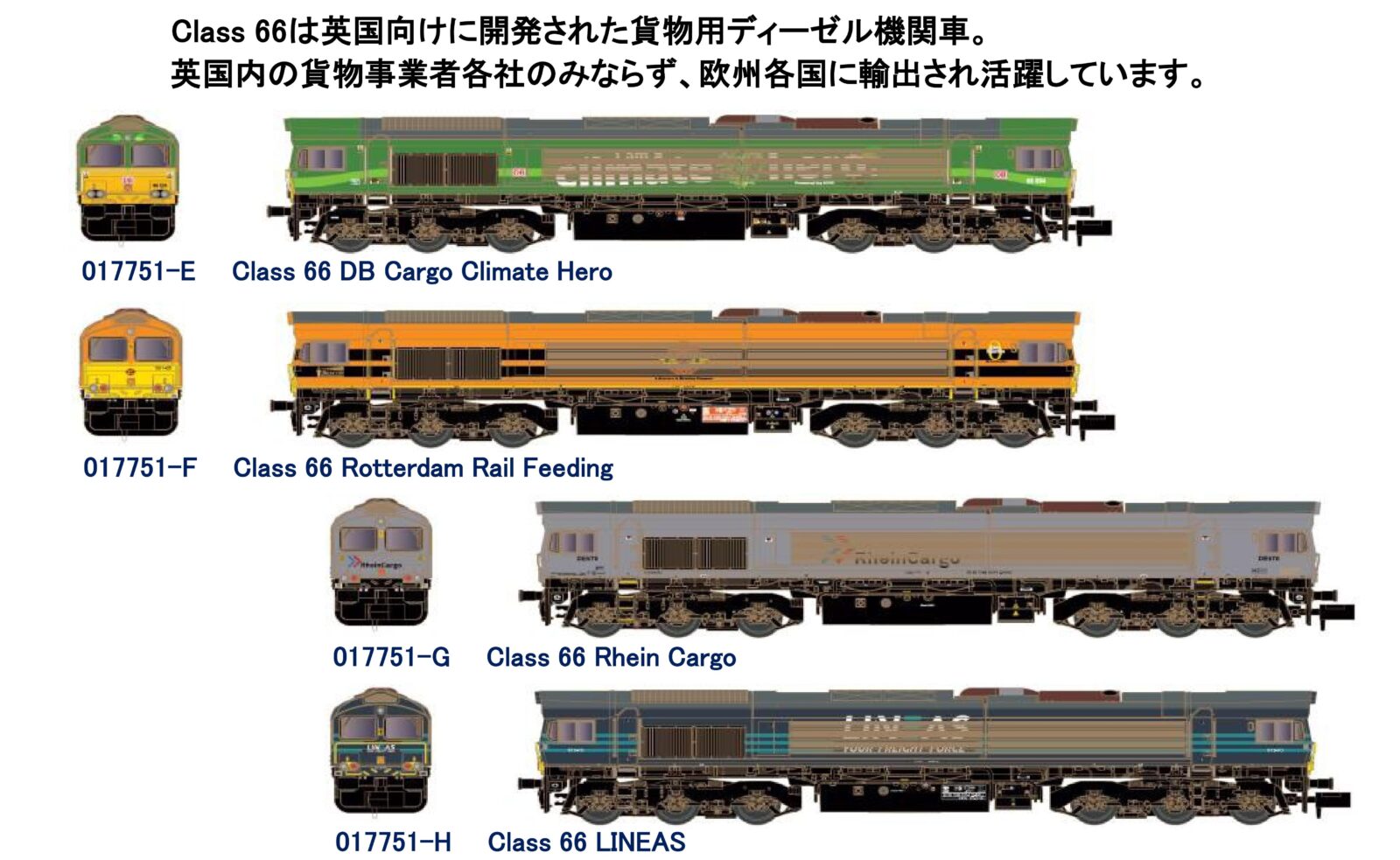 ホビーセンターカトー KATOヨーロッパ ･017751-E Class 66 DB Cargo Climate Hero ･017751-F Class 66 Rotterdam Rail Feeding ･017751-G Class 66 Rhein Cargo ･017751-H Class 66 LINEAS ･017754-4 Class 77 DB Cargo ･017754-5 Class 77 Freightliner