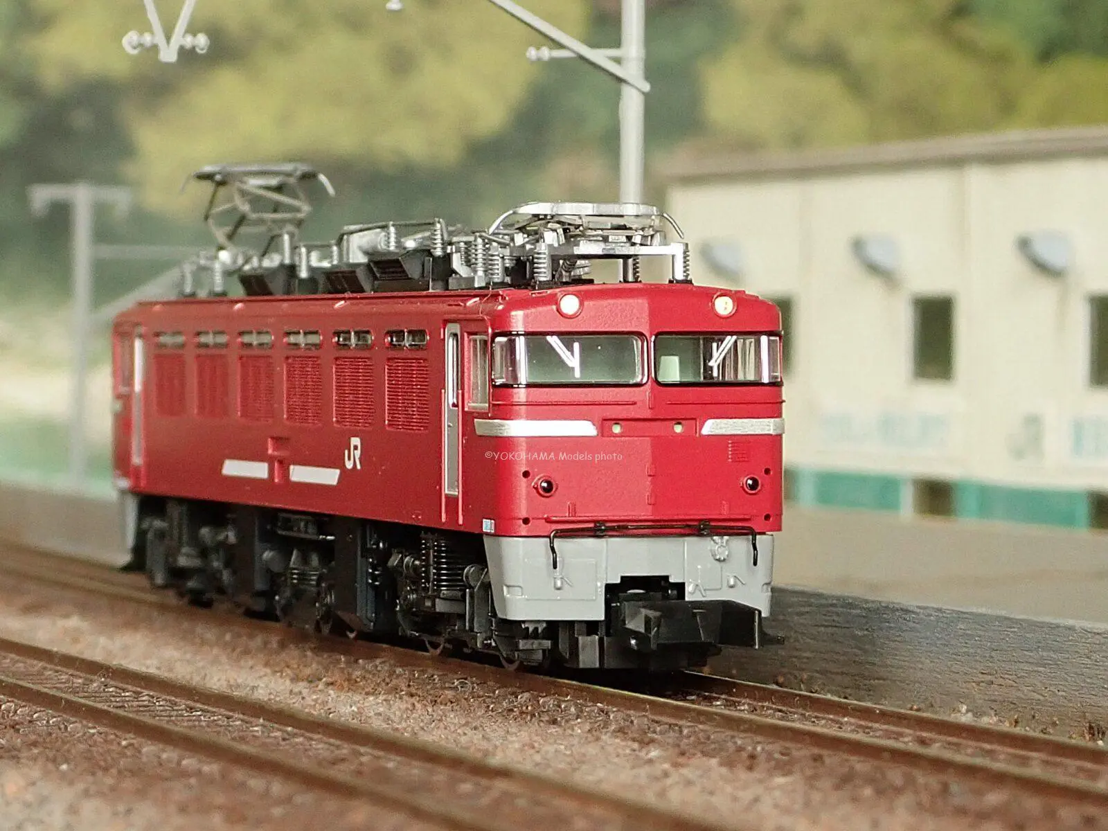 TOMIX 93593 JR ED76-1000形 電気機関車（後期型・サッシ窓・JR貨物更新車・銀色ドア） テックステーション限定 トミックス Nゲージ 鉄道模型