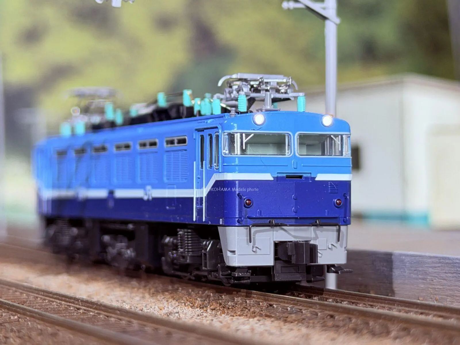 TOMIX EF81形電気機関車(95号機・レインボー塗装・Hゴムグレー) 品番