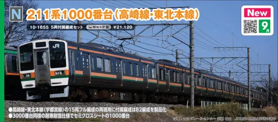 211系3000番台 113系グリーン車組み込み　　　高崎線、宇都宮線仕様 211系3000番台 113系グリーン車組み込み 高崎線、宇都宮線仕様 【公式